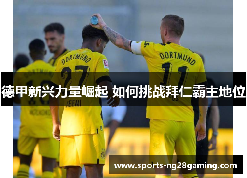 德甲新兴力量崛起 如何挑战拜仁霸主地位 德甲新兴力量崛起 如何挑战拜仁霸主地位