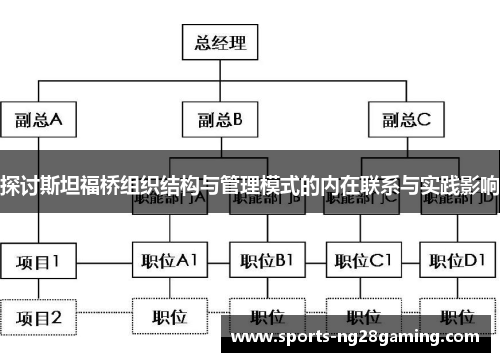 探讨斯坦福桥组织结构与管理模式的内在联系与实践影响