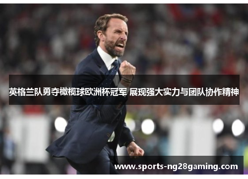 英格兰队勇夺橄榄球欧洲杯冠军 展现强大实力与团队协作精神